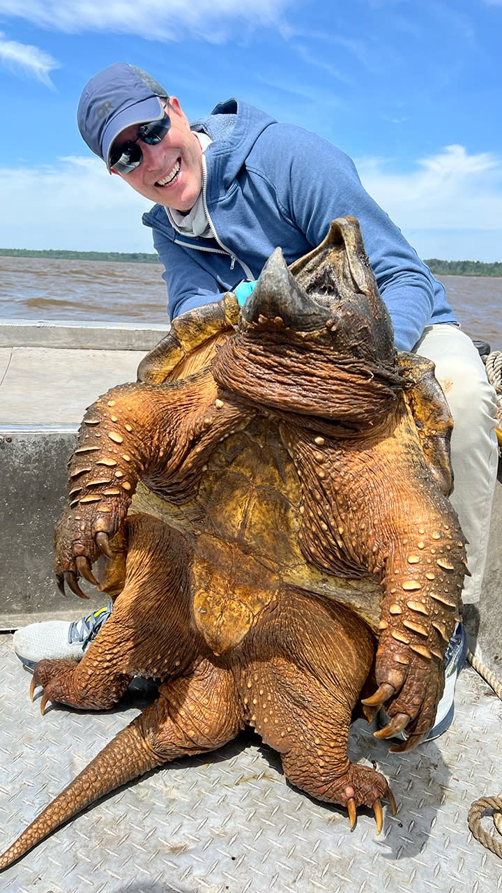Art-Weston-showing-off-alligator-snapping-turtle