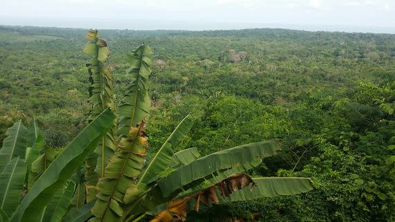 Ancient human civilizations may have lived in what is now dense Amazon rainforest. (Projecto Geolifos)