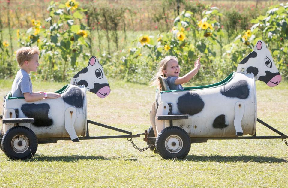 Cael, 7, left, and Chyler, 5, Fredrickson, of Crestview, enjoy their Cow Train ride during the Sweet Season Farm's 9th annual Corn Maze and Fall Fun Festival in Milton on Saturday, October 14, 2017.