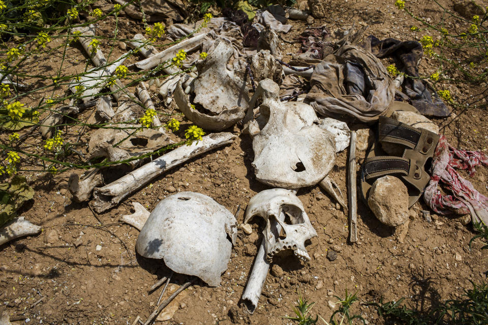 Legacy: Death among the flowers – The mass graves in Sinjar