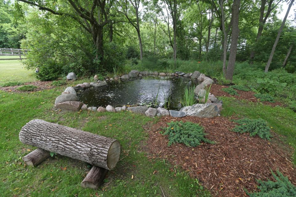 A wildlife pond has a log seat for viewing at the River Hills home of Debra and Steve Koenig. They added the pond to create habitat for frogs on their property.