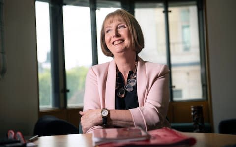 Harriet Harman in her Commons office last week - Credit: David Rose/Telegraph