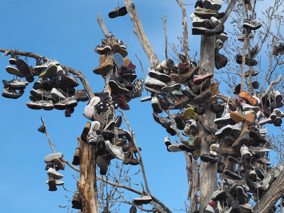 The Shoe Tree (Mitchell, Oregon)