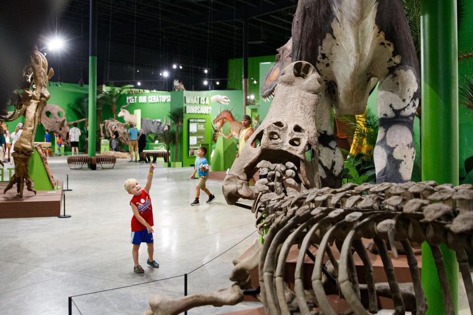 4-year-old Easton Kurnyak of South Bend points up at a dinosaur during opening day at the Indiana Dinosaur Museum on Friday, July 12, 2024, in South Bend.