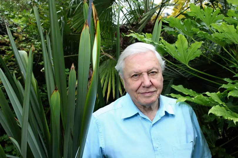 English naturalist and broadcaster Sir David Attenborough -Credit:Getty