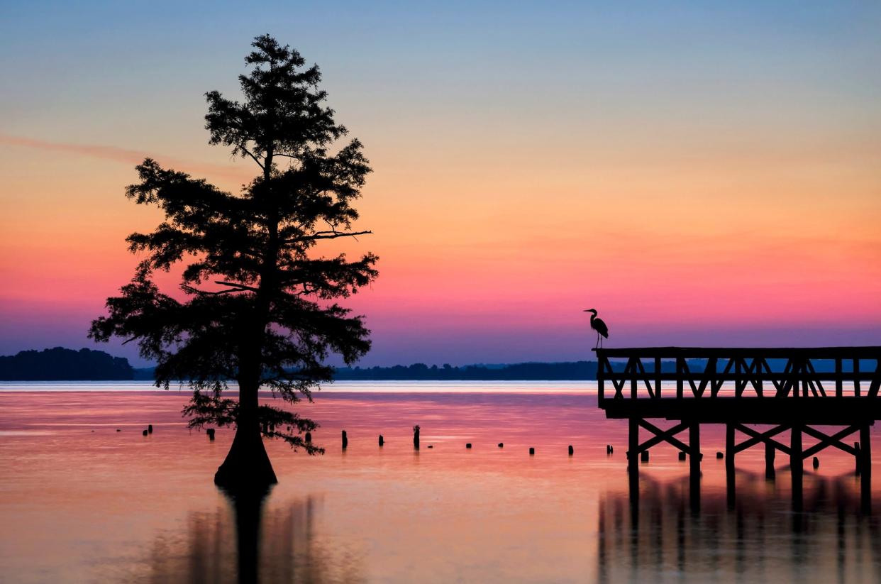 Scenic sunrise, fishing pier on cypress lake