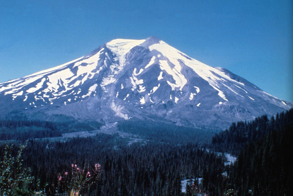 Southeast side of Mount St. Helens, showing Shoestring Glacier. This pre-1980 view of Mount St. Helens shows the volcano's southeast flank and the headwaters of the Muddy River before the May 18th, 1980 eruption. The broad forested area in the foreground is underlain by many layers of volcanic deposits, chiefly lahars and pyroclastic flows generated from past eruptions of Mount St. Helens.