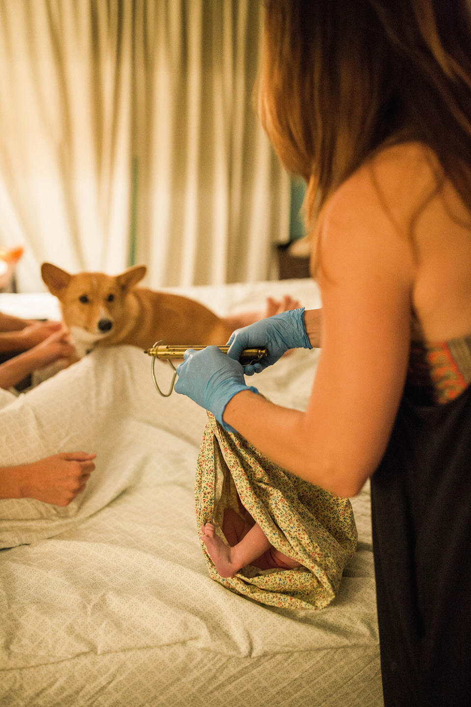 Ranger watches as newborn baby Berkeley is weighed (Picture: Caters)