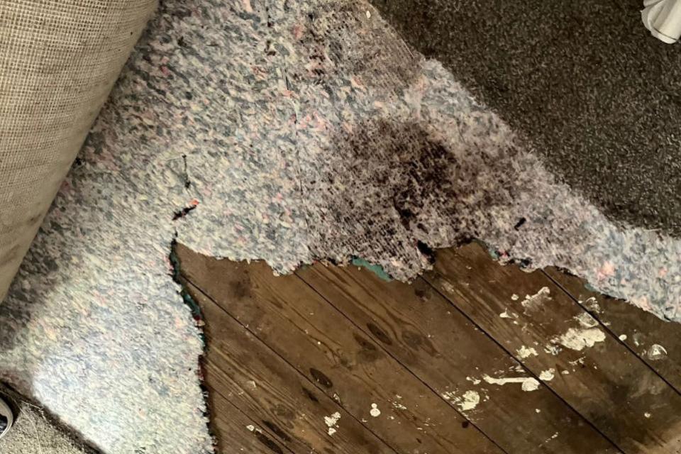 Stourbridge News: Damp carpets and floorboards at the property in Tack Farm Road, Wordsley