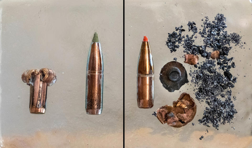 Copper bullet, left, vs lead core bullet, right, before and after impact, showing extensive post-impact fragmentation of the lead, but not the copper, ammunition. Both rounds are 180 grain and fired out of a .300 Winchester magnum. (Mike McTee)