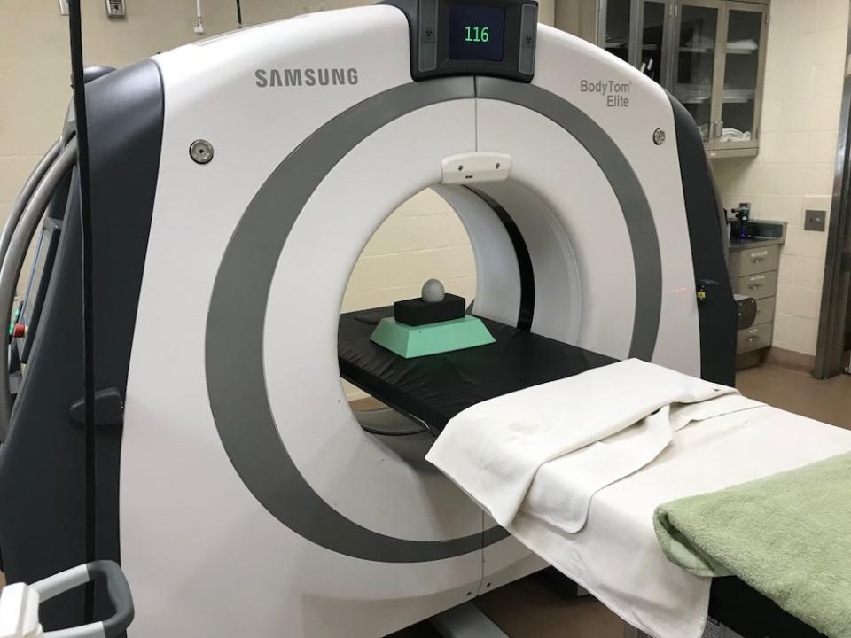 California condor egg in CT scanner