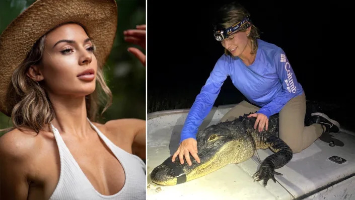 Photo of a woman in a bikini beside another photo that shows the same woman restraining an American alligator.