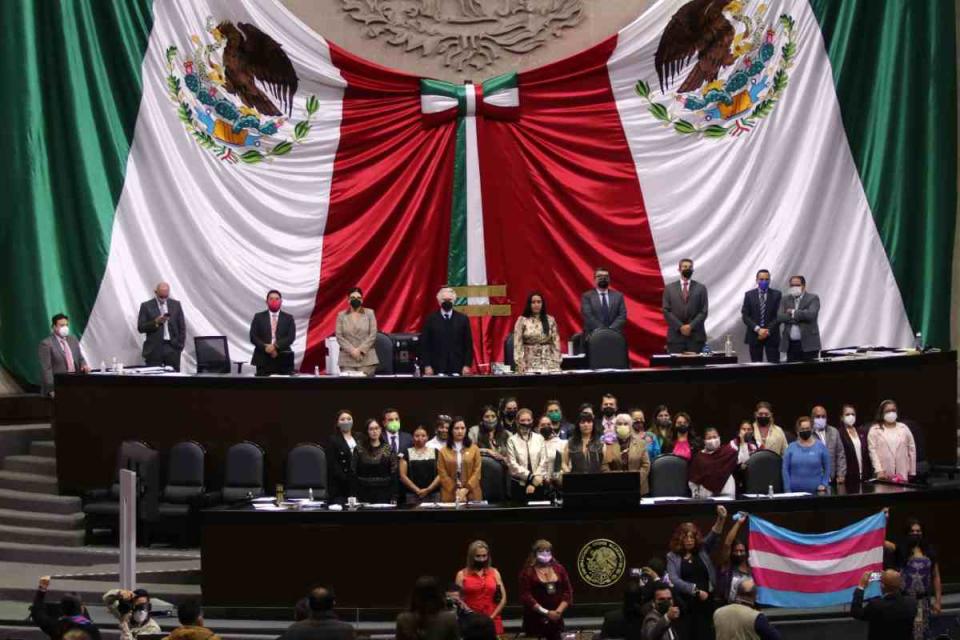 acción afirmativa diputados senado