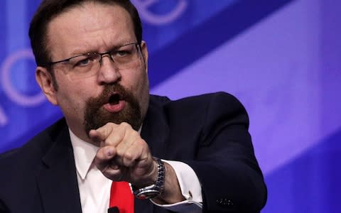 Sebastian Gorka  - Credit: Alex Wong/Getty