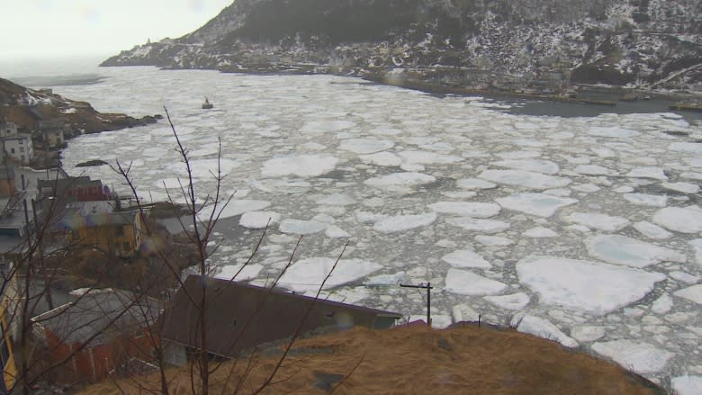 Spring storm: Blizzard conditions drop up to 50 centimetres of snow