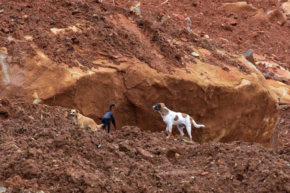 Nearly 500 bodies recovered from devastating Sierra Leone mudslide