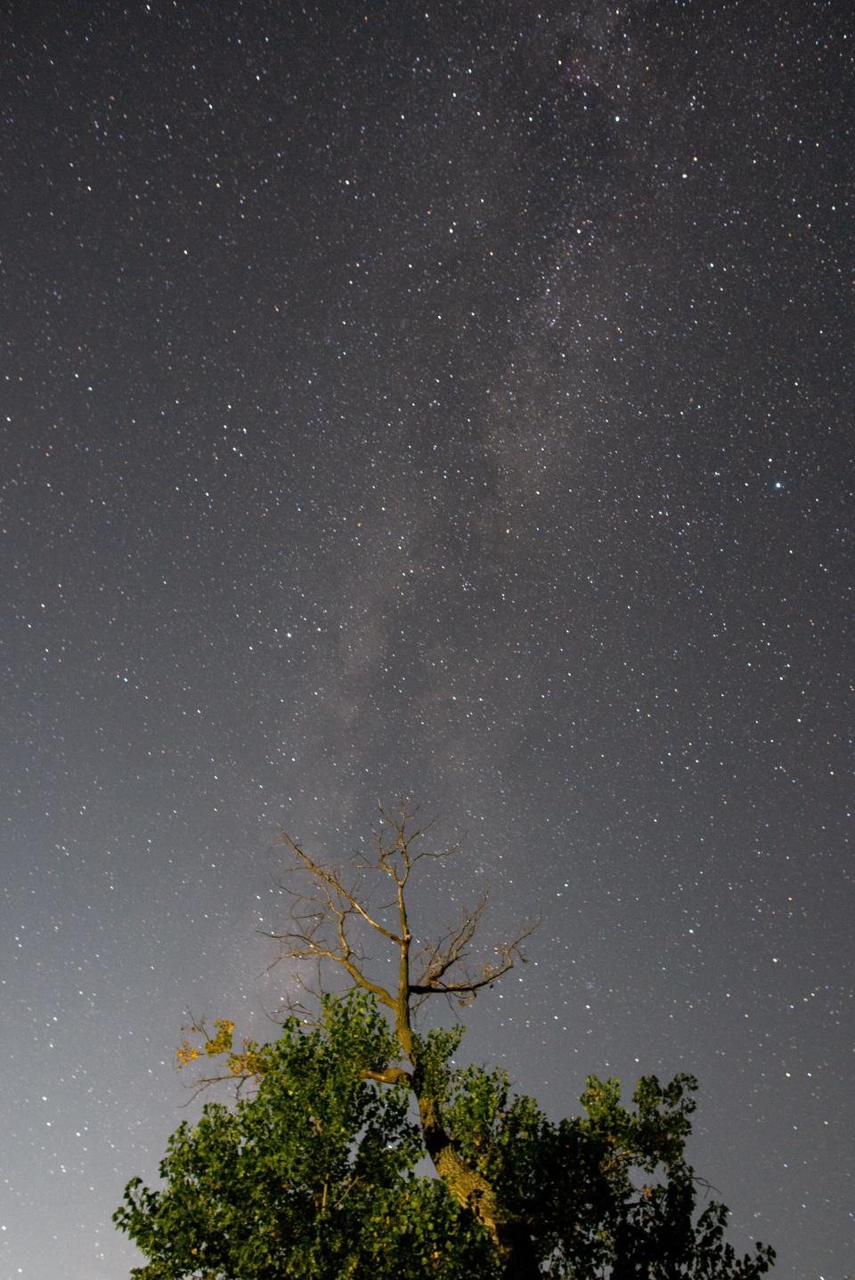 The Milky Way Galaxy is seen above a large cottonwood tree illuminated by a nearby streetlight in northern Shawnee County.