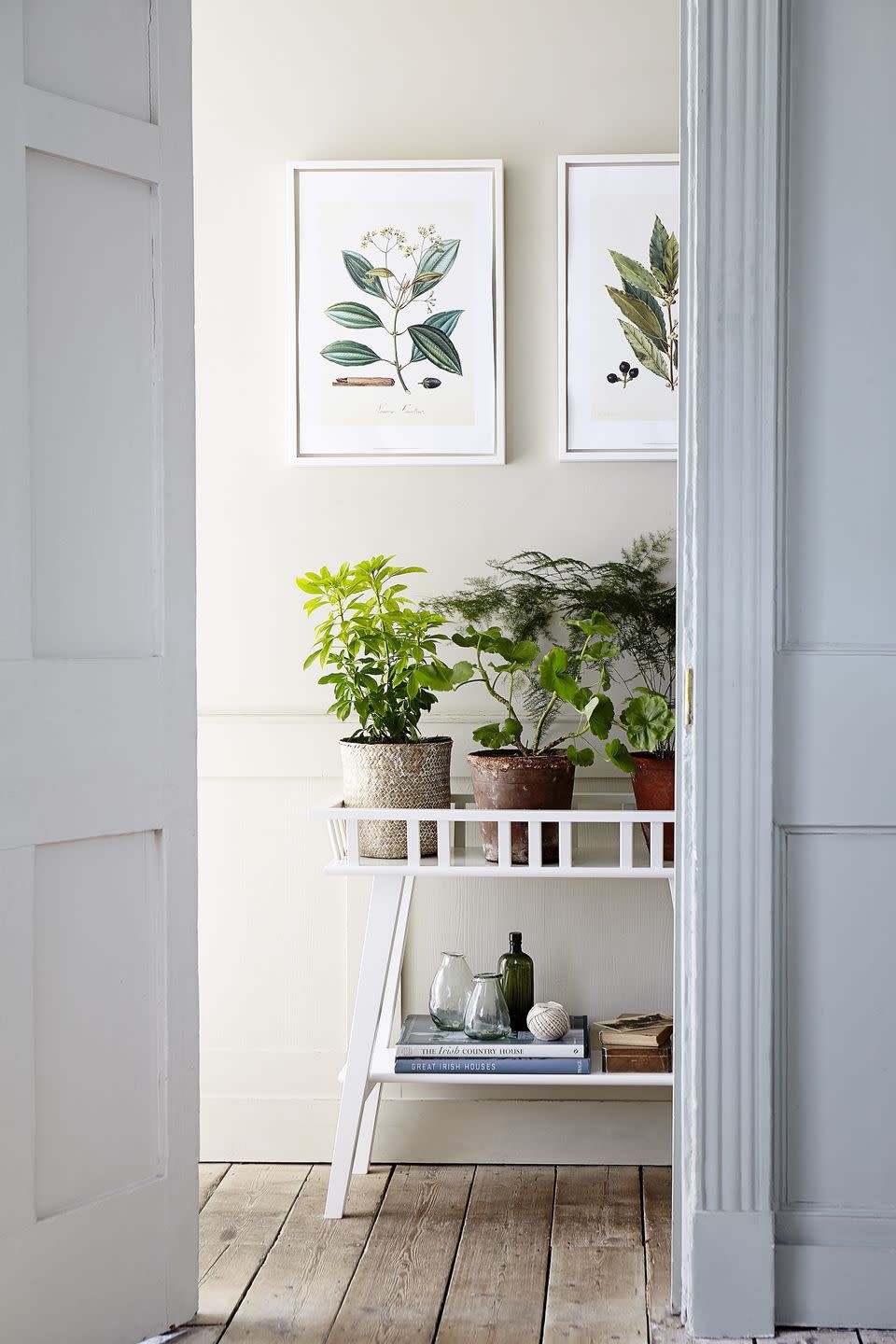 organised hallway with plant stand