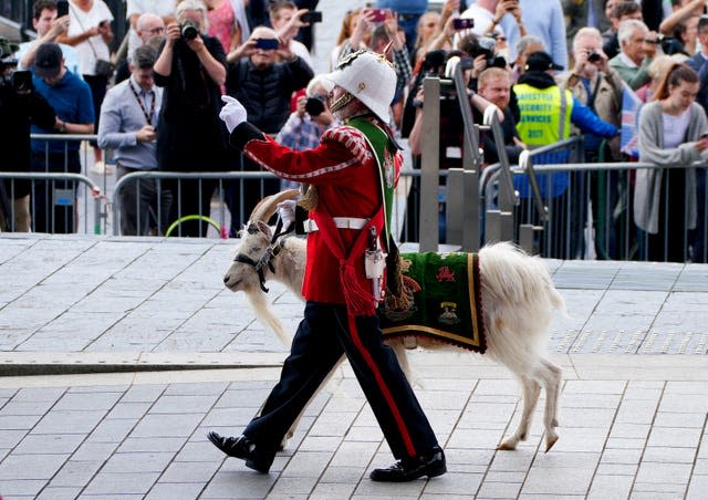 A member of the Royal Welsh walks past with a goat mascot
