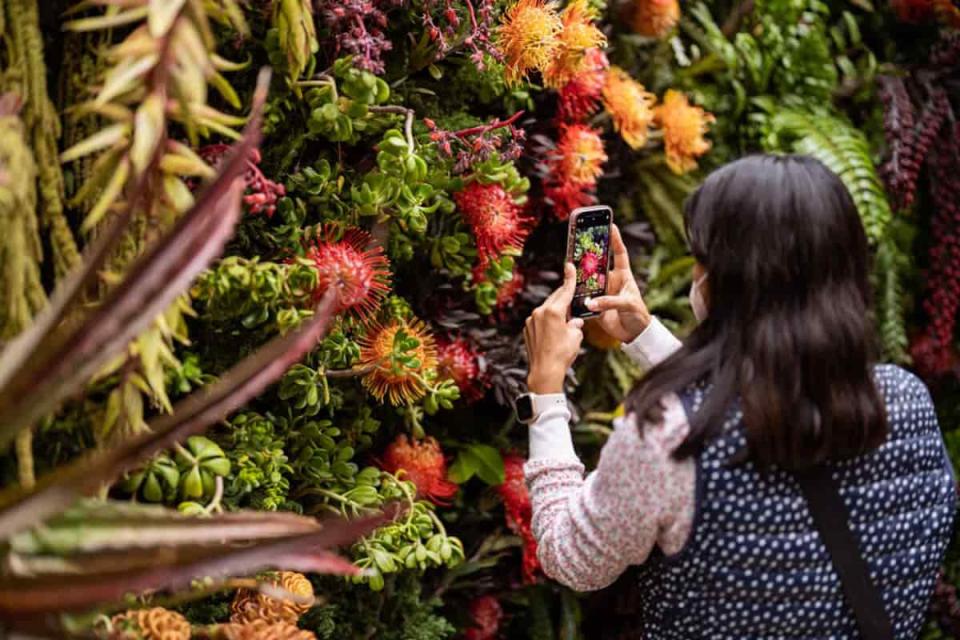 festival flores y jardines