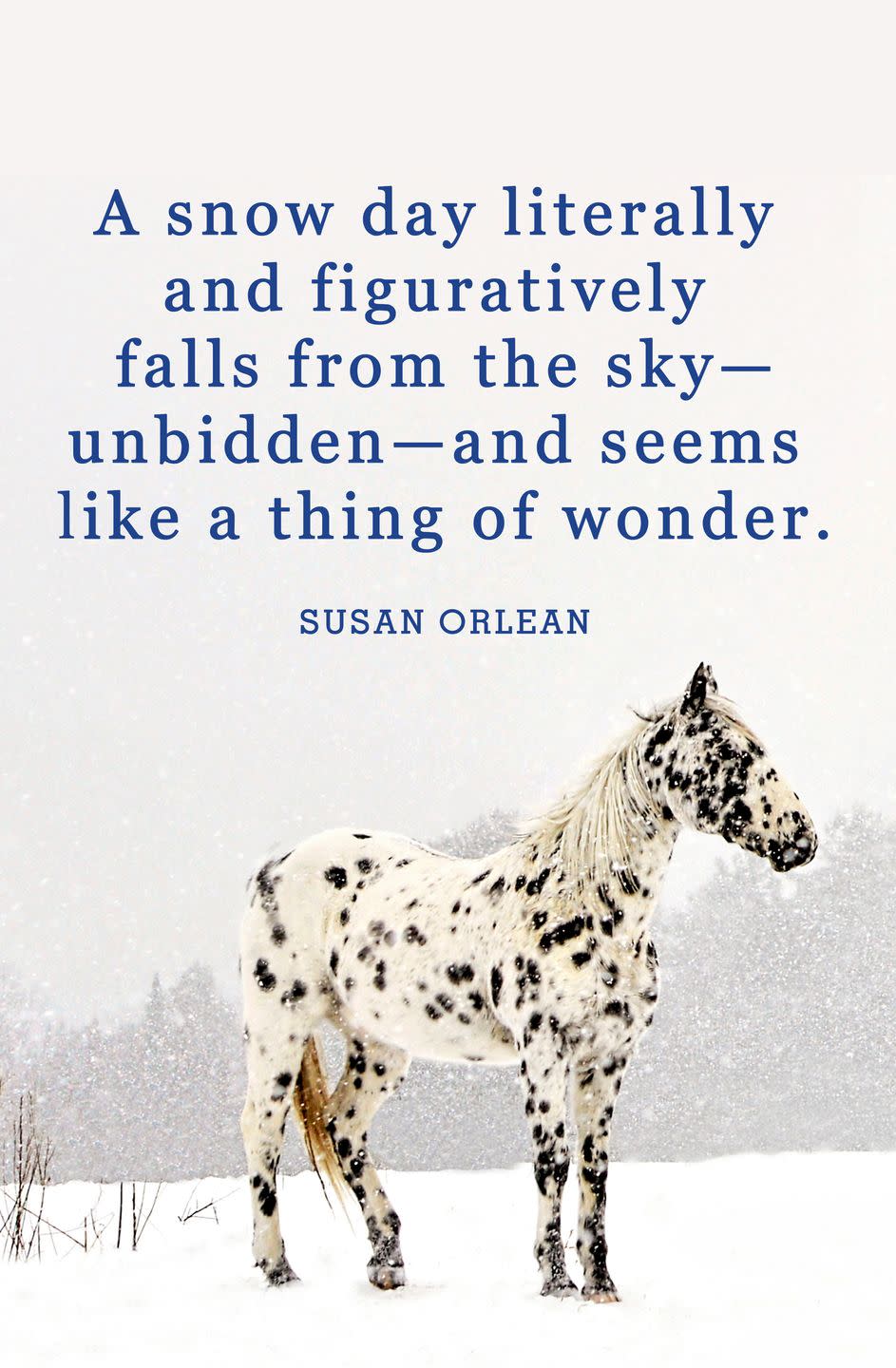 <p>"A snow day literally and figuratively falls from the sky—unbidden—and seems like a thing of wonder."</p>