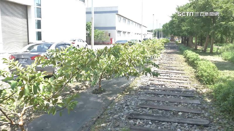 台北捷運將捷運機廠打造成「開心農場」，種植蔬果。