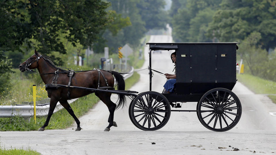 Amish in Ohio. (Tony Dejak/AP)