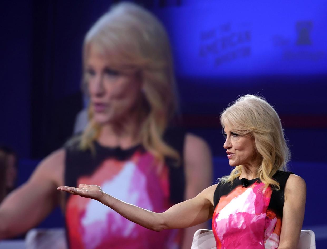 White House Counsellor to the President Kellyanne Conway is interviewed by Fox News, soon before being reportedly banned from appearing on TV: Getty Images