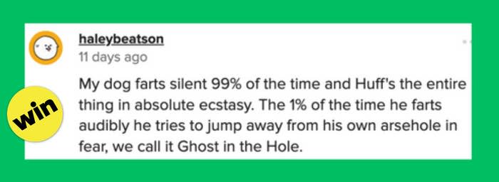 My dog farts silently 99% of the time and huffs the entire thing in absolute ecstasy. The 1% of the time he farts audibly he tried to jump away from his own arsehole in fear. We call it Ghost in the Hole