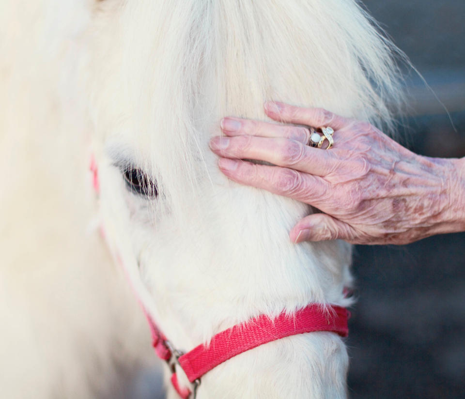 Para cabalgar no hay edad. Foto: sallyjshintaffer/Getty Images