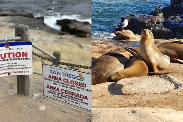 se permiten perros en point lobos