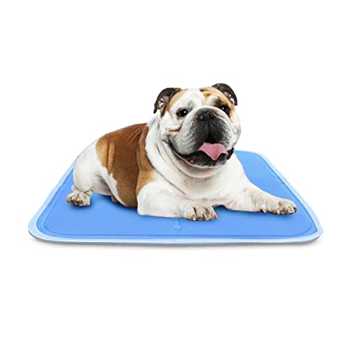 The Green Pet Shop Dog Cooling Mat, Medium - Pressure Activated Pet Cooling Mat for Dogs and Cats, Sized for Medium Sized Pets (21-45 Lb.) - Non-Toxic Gel, No Water Needed for This Dog Cooling Pad (AMAZON)