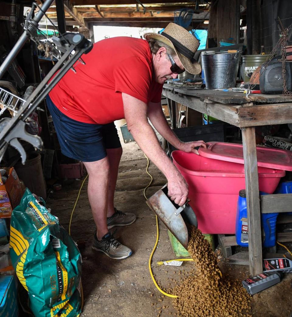 Roland Hill pours cat food on the ground to feed cats belonging to an evacuated neighbor off Burrough Valley Road near Tollhouse on Friday, Sept. 18, 2020. Most of Hill’s neighbors evacuated the Creek Fire but he stayed put, feeling he was safe from the fire and needed to keep watch over his property.