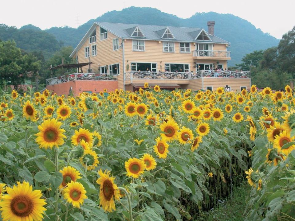 富田花園農場（圖片來源：富田花園農場）