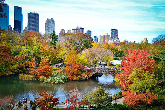 Climate Change May Be Delaying New England's Fall Foliage Season