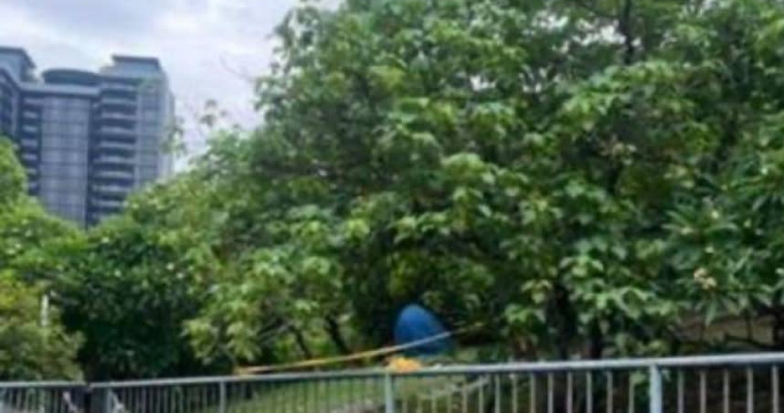 台中南屯區文心公園發生死亡案件，1名男子倒臥在樹叢裡，呈現明顯屍斑和屍僵，明顯身亡多時。（圖／翻攝畫面）