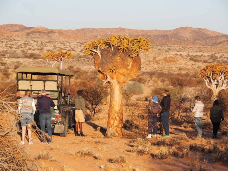 On safari in South Africa's Northern Cape province. Andreas Drouve/dpa