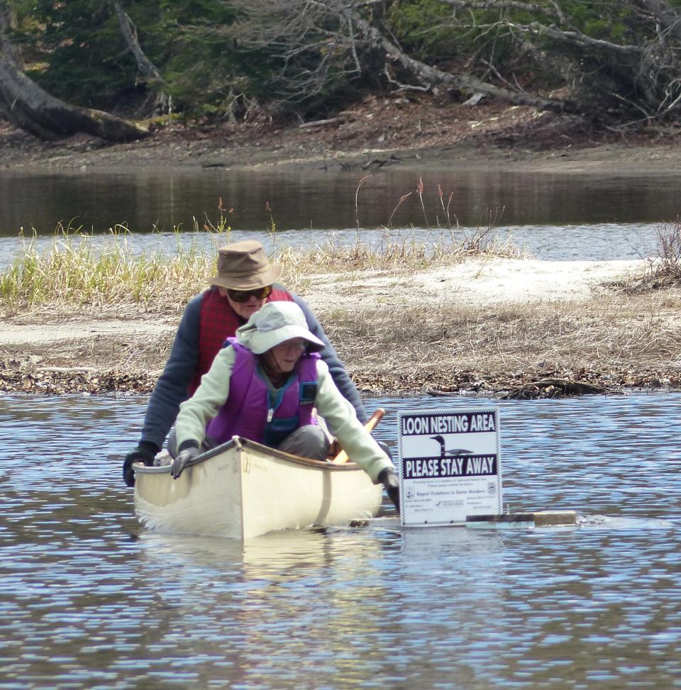 Volunteers Norm and Jane Hanson placing signs near a nesting area.