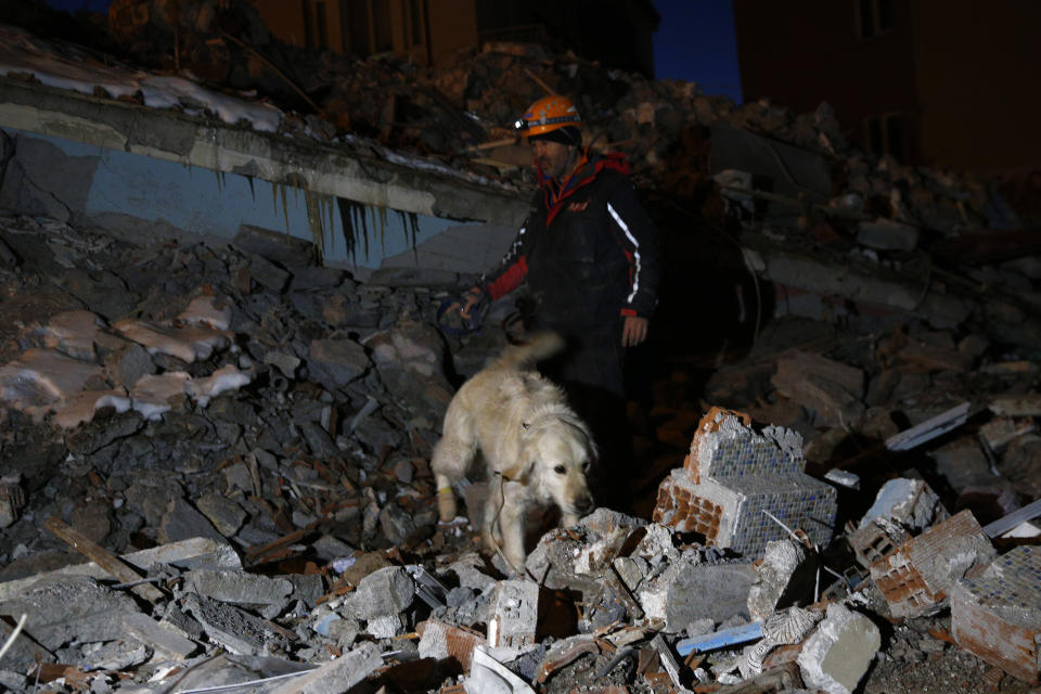 MALATYA, TURKIYE - FEBRUARY 10: Poyraz the rescue dog contributes to search and rescue efforts with its trainers Dersim Bulut and Niyazi Ozbek Following 7.7 and 7.6 magnitude earthquakes centered in Turkiye's Kahramanmaras on February 10, 2023 in Malatya, Turkiye. Early Monday morning, a strong 7.7 earthquake, centered in the Pazarcik district, jolted Kahramanmaras and strongly shook several provinces, including Gaziantep, Sanliurfa, Diyarbakir, Adana, Adiyaman, Malatya, Osmaniye, Hatay, and Kilis. Later, at 13.24 p.m. (1024GMT), a 7.6 magnitude quake centered in Kahramanmaras' Elbistan district struck the region. Turkiye declared 7 days of national mourning after deadly earthquakes in southern provinces. (Photo by Sercan Kucuksahin/Anadolu Agency via Getty Images)