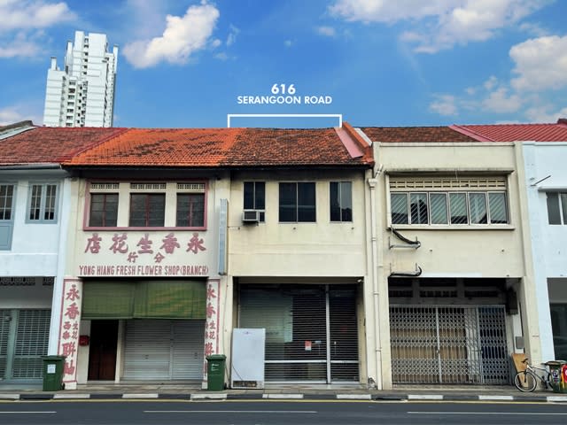 city fringe shophouse