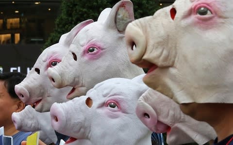 Animal rights activists wearing pig masks stage a rally calling for the humane slaughtering of pigs  - Credit: AP Photo/Ahn Young-joon