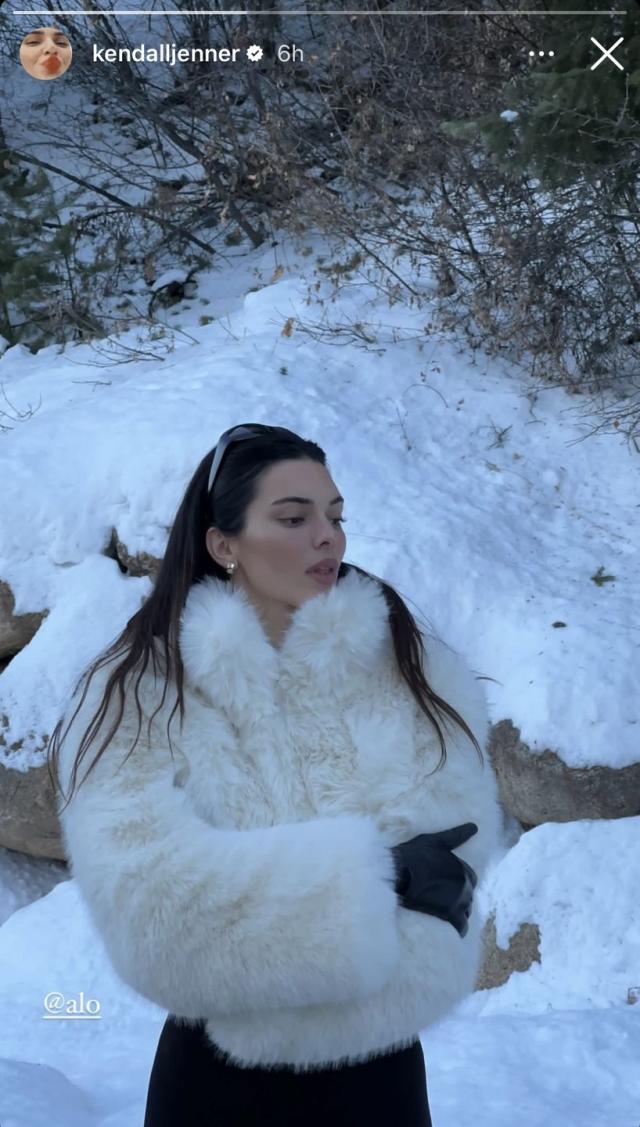 Post-Breakup Kendall Jenner Wears a Phoebe Philo Fur Coat