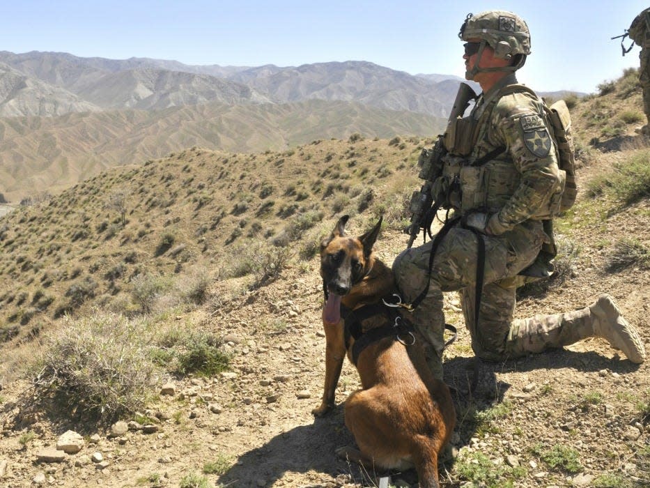 A soldier and Laika in Afghanistan