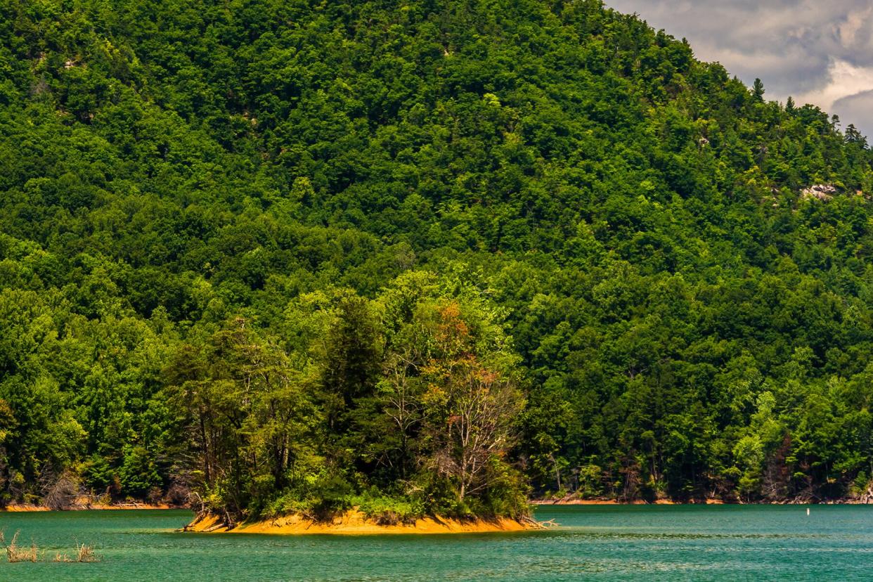 Island in Watauga Lake, Cherokee National Forest, Tennessee.