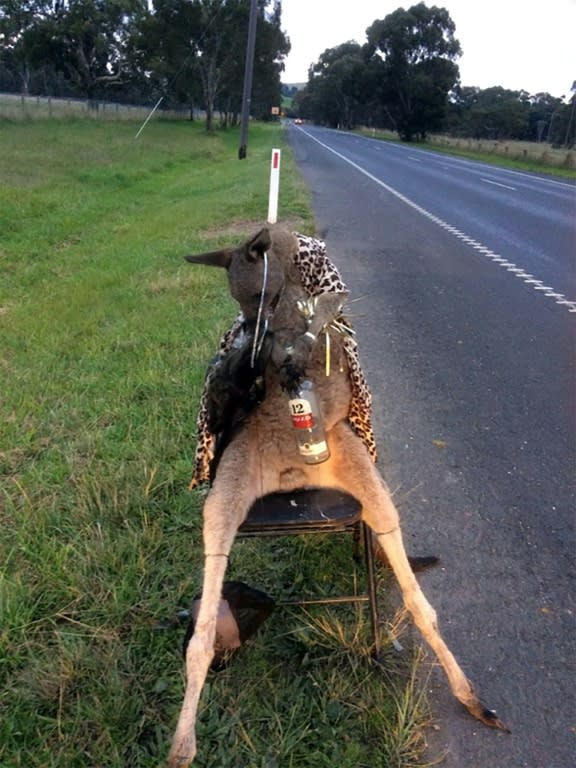 A dead kangaroo tied to a chair was found at the roadside on the outskirts of Melbourne on June 28, 2017