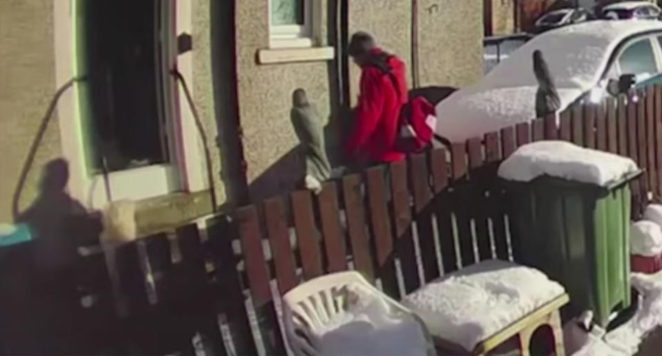 A postal worker shown standing above Patricia Stewart who's laying in the snow after a fall.