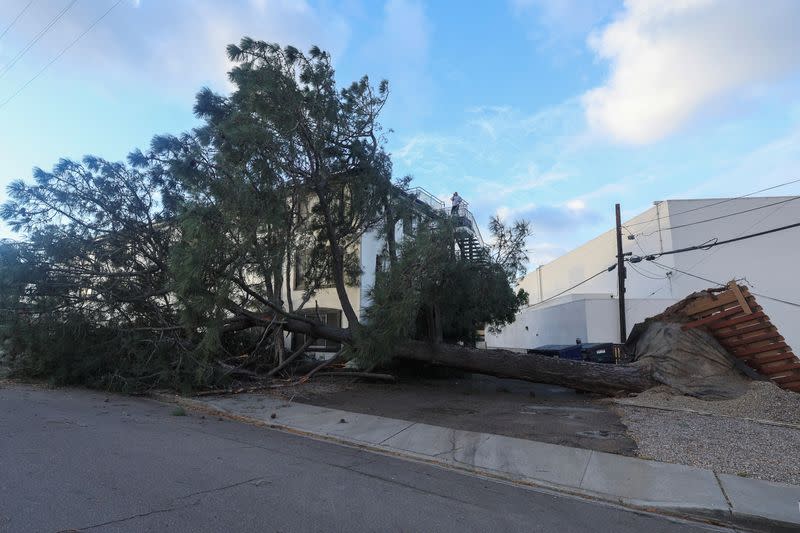 Winter storm causes damage in California