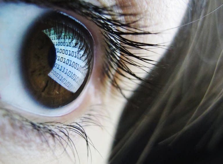 A binary code is reflected from a computer screen in a woman's eye on October 22, 2012. The British military's dependence on information technology means it could be "fatally compromised" by a cyber-attack but the government seems unprepared for such an event, lawmakers warned Wednesday