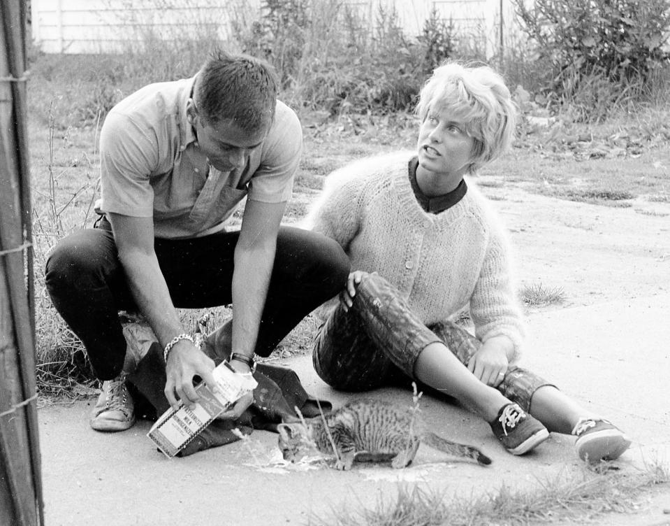 A couple pours milk from a carton for a kitten in this undated photo.