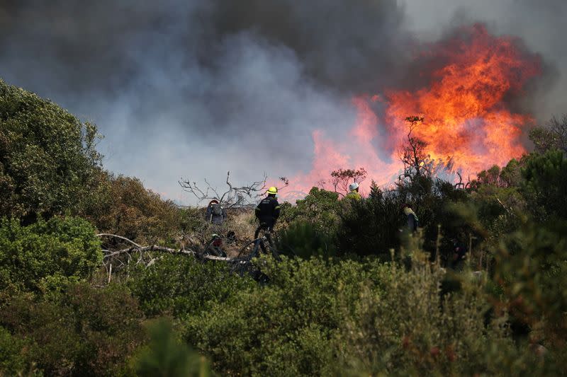 Firefighters battle a bushfire that broke out on the slopes of Table Mountain in Cape Town